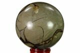 2.7" Polished Septarian Sphere - Madagascar - #154140-1